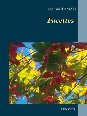 cover image of Facettes